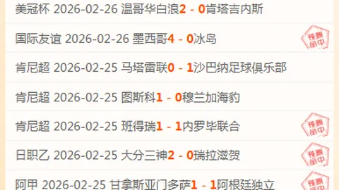 金观平：护航民企深耕发展之道