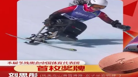 【巅峰对决】2006世界杯1／4决赛：齐达内领军挑战巴西，世界足坛再掀高潮！