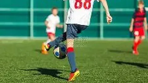 NBA大乐透期号专家推荐：魔术VS独行侠质合分析前区十码